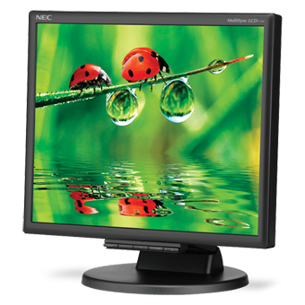 17” NEC Desktop Monitor