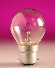 Festoon Bulbs