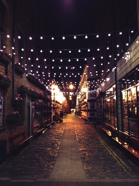 Festoon 50m